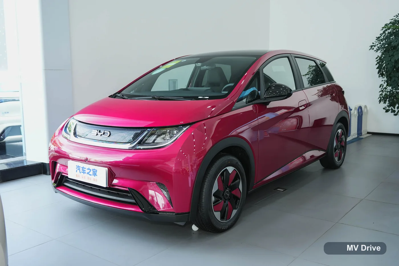 BYD Dolphin მთავარი ფოტო